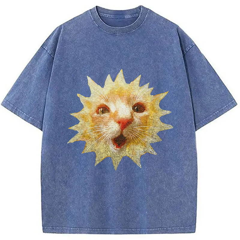 Modecanvas Sun Cat Meme DTG Printing Washed T-Shirt