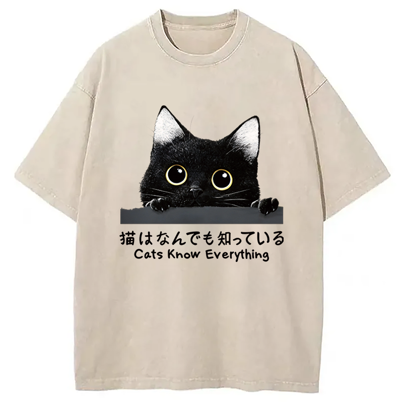 Modecanvas Cats Know Everything DTG Printing Washed T-Shirt-modecanvas