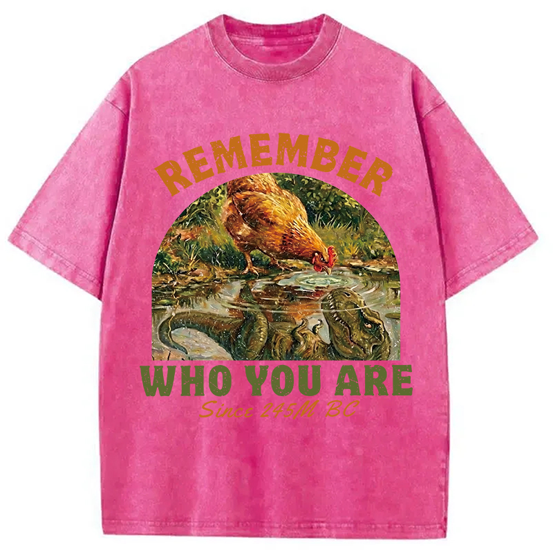 Modecanvas Remember Who You Are Funny DTG Printing Washed T-Shirt