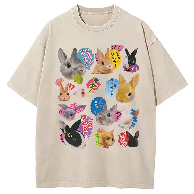 Modecanvas Japanese Bunny DTG Printing Washed T-Shirt