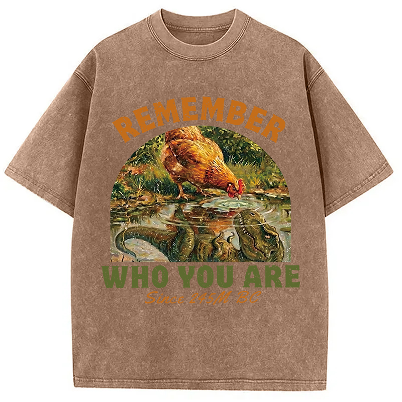 Modecanvas Remember Who You Are Funny DTG Printing Washed T-Shirt