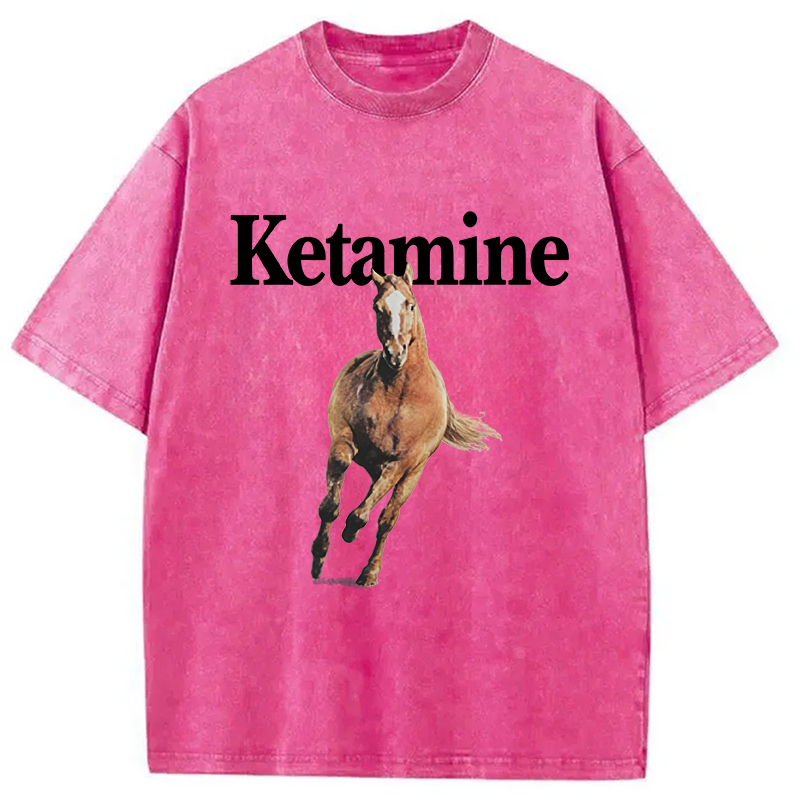 Modecanvas Ketamine Horse Run DTG Printing Washed T-Shirt