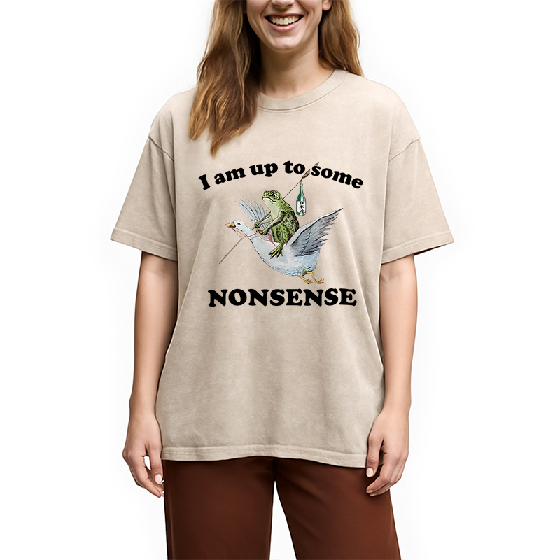 Modecanvas Frog Riding A Goose Washed T-Shirt