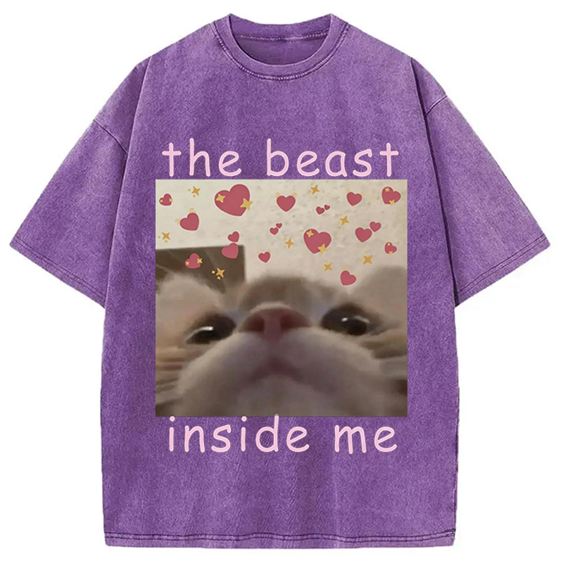 Modecanvas The beast inside me Cat Meme DTG Printing Washed T-Shirt