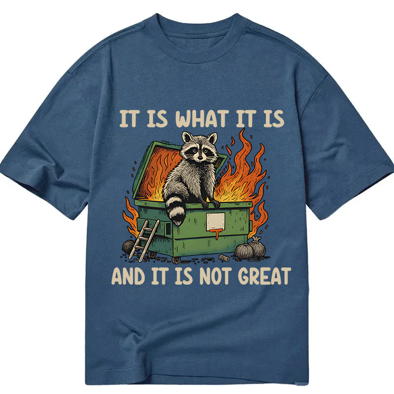 Modecanvas It Is What It Is Dumpster Fire Funny Raccoon Meme DTG Printing Classic T-Shirt-modecanvas