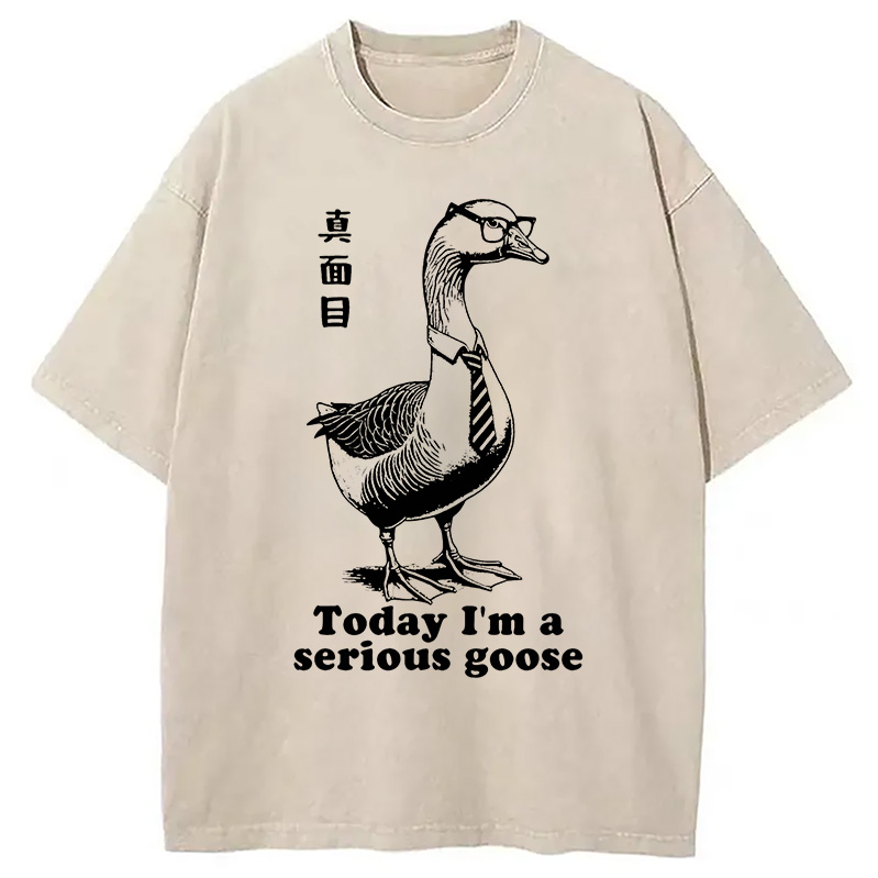 Modecanvas Serious Goose Washed T-Shirt