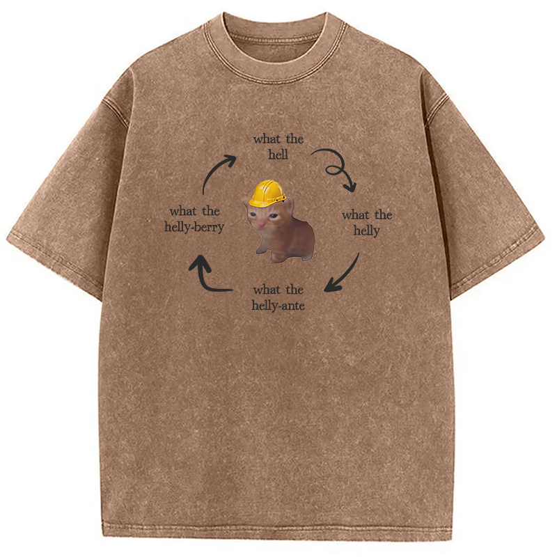 Modecanvas What The Helly Funny Cat Meme DTG Printing Washed T-Shirt