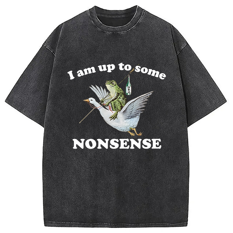 Modecanvas Frog Riding A Goose Washed T-Shirt
