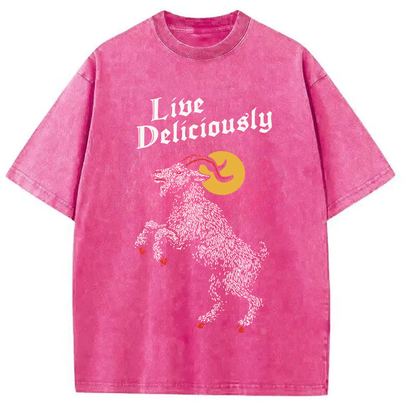 Modecanvas Black Philip Live Deliciously DTG Printing Washed T-Shirt