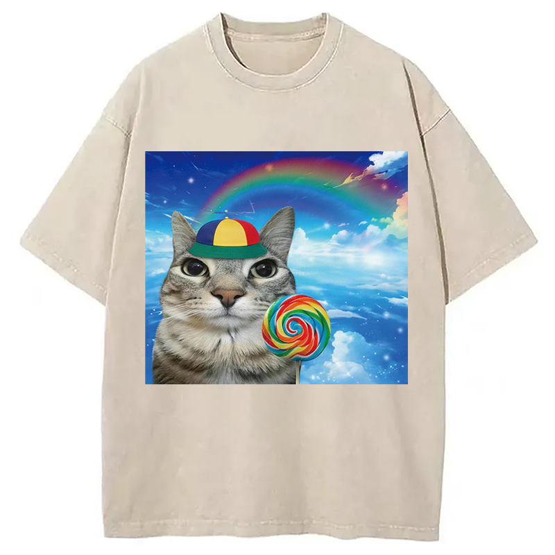 Modecanvas Wholesome Rainbow Cat DTG Printing Washed T-Shirt