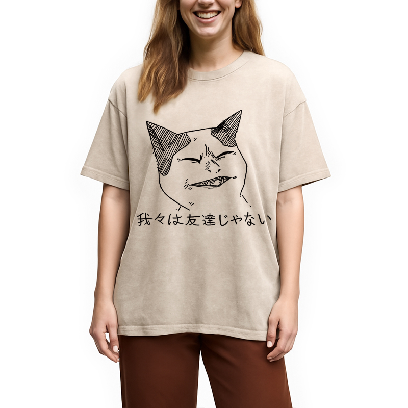 Modecanvas Angry Cat Funny Washed T-Shirt