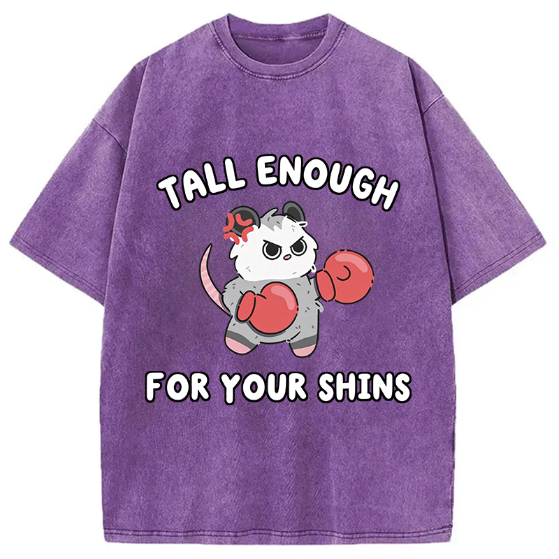 Modecanvas Tall Enough For Your Shins DTG Printing Washed T-Shirt