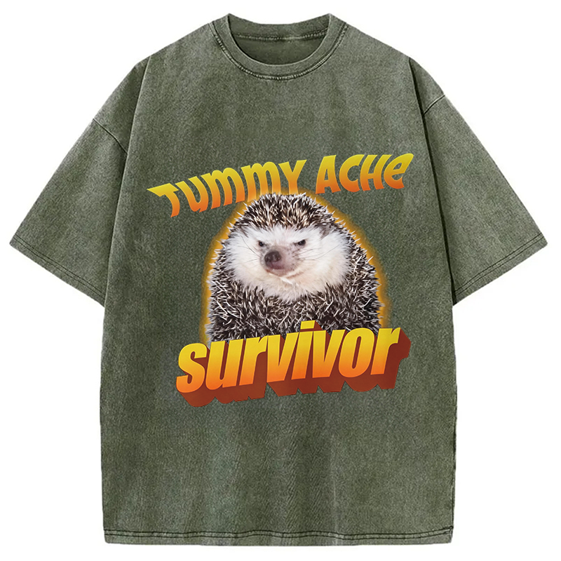Modecanvas Tummy Ache Survivor Meme Washed T-Shirt-modecanvas
