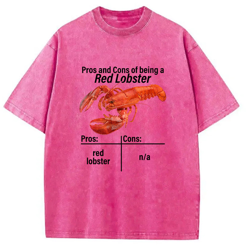 Modecanvas Pros And Cons Washed T-Shirt