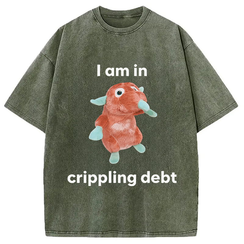 Modecanvas I Am In Crippling Debt Funny Meme DTG Printing Washed T-Shirt