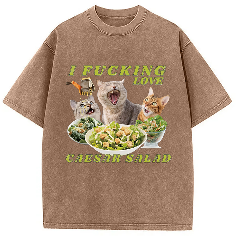 Modecanvas I Fucking Love Caesar Salad Cat Meme DTG Printing Washed T-Shirt