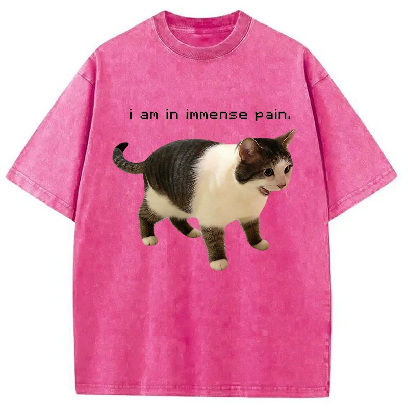 Modecanvas Screaming Cat Immense Pain DTG Printing Washed T-Shirt