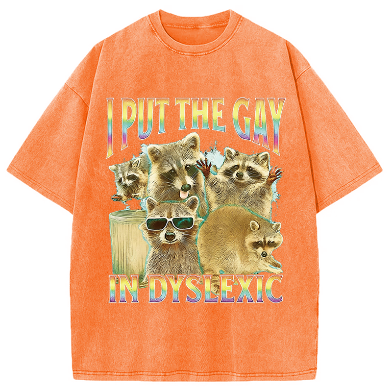 Modecanvas I Put The Gay In Dyslexic Funny Raccoon Meme DTG Printing Washed T-Shirt