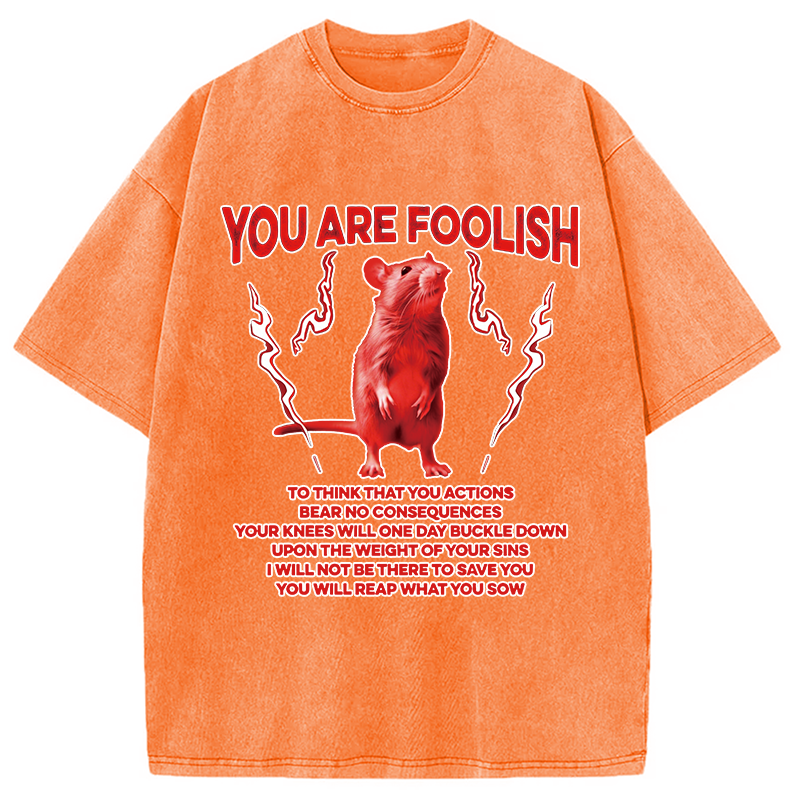 Modecanvas You Are Foolish Rat DTG Printing Washed T-Shirt