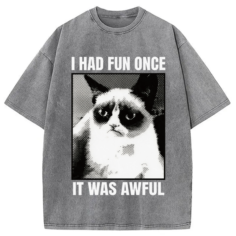 Modecanvas I Had Fun Once It Was Awful Cat Meme DTG Printing Washed T-Shirt