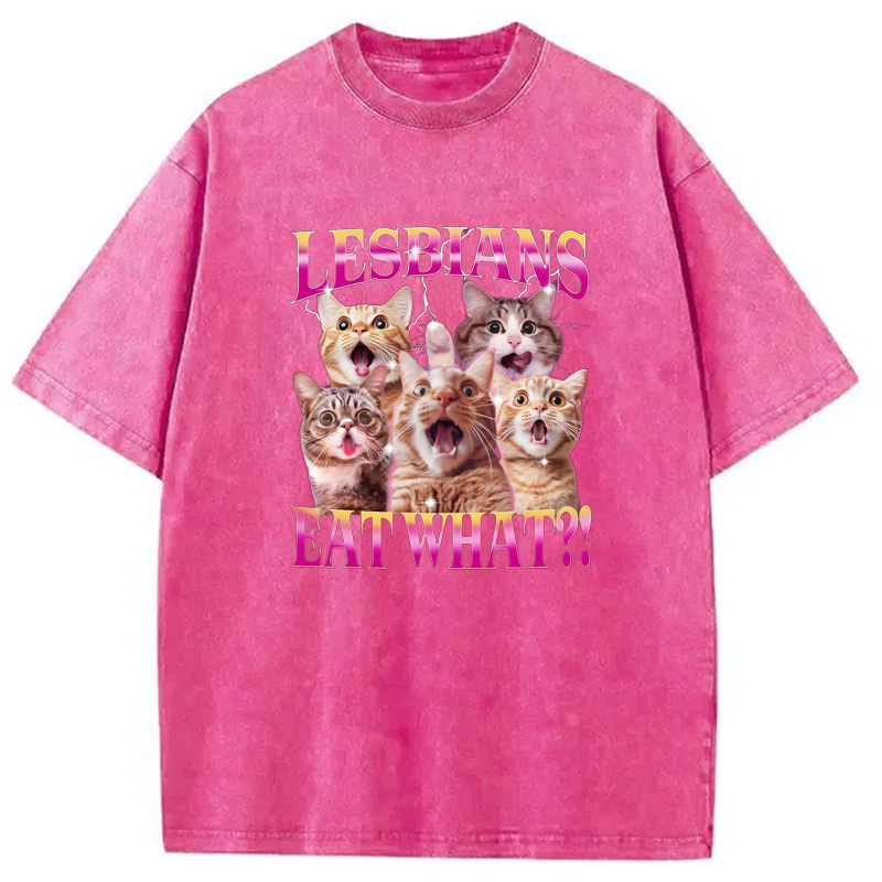 Modecanvas Funny Lesbian Cat Washed T-Shirt