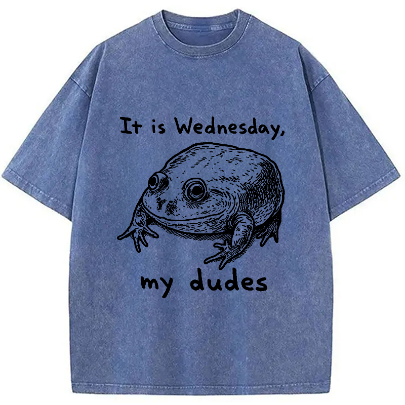Modecanvas Wednesday Frog Vintage Washed T-Shirt-modecanvas