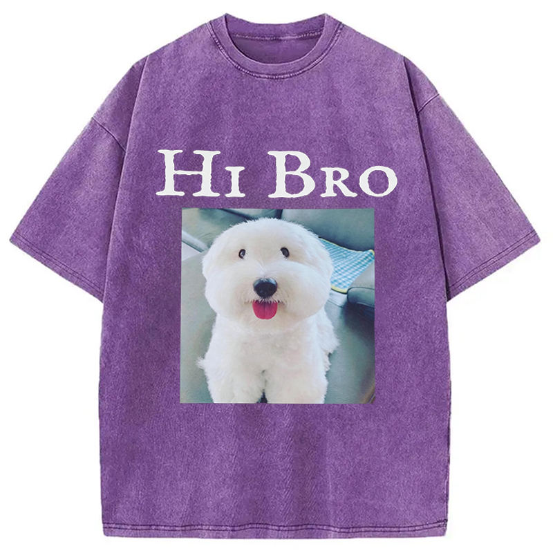 Modecanvas Hi Bro Dog Meme DTG Printing Washed T-Shirt
