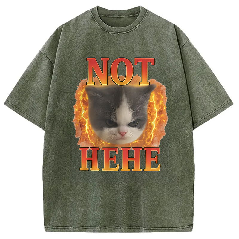 Modecanvas NOT HEHE Funny Cat Meme Washed T-Shirt