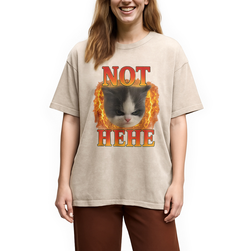 Modecanvas NOT HEHE Funny Cat Meme Washed T-Shirt