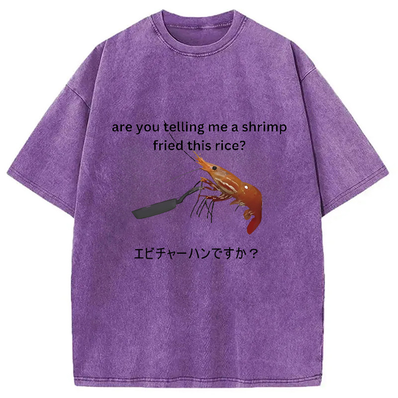 Modecanvas Are You Telling Me a Shrimp Fried This Rice Washed T-Shirt