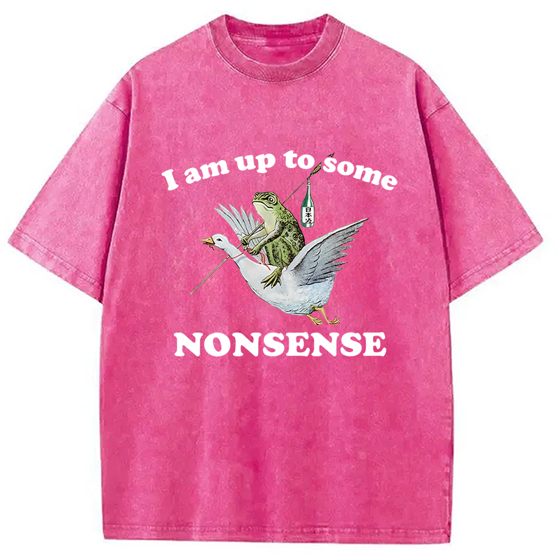 Modecanvas Frog Riding A Goose Washed T-Shirt