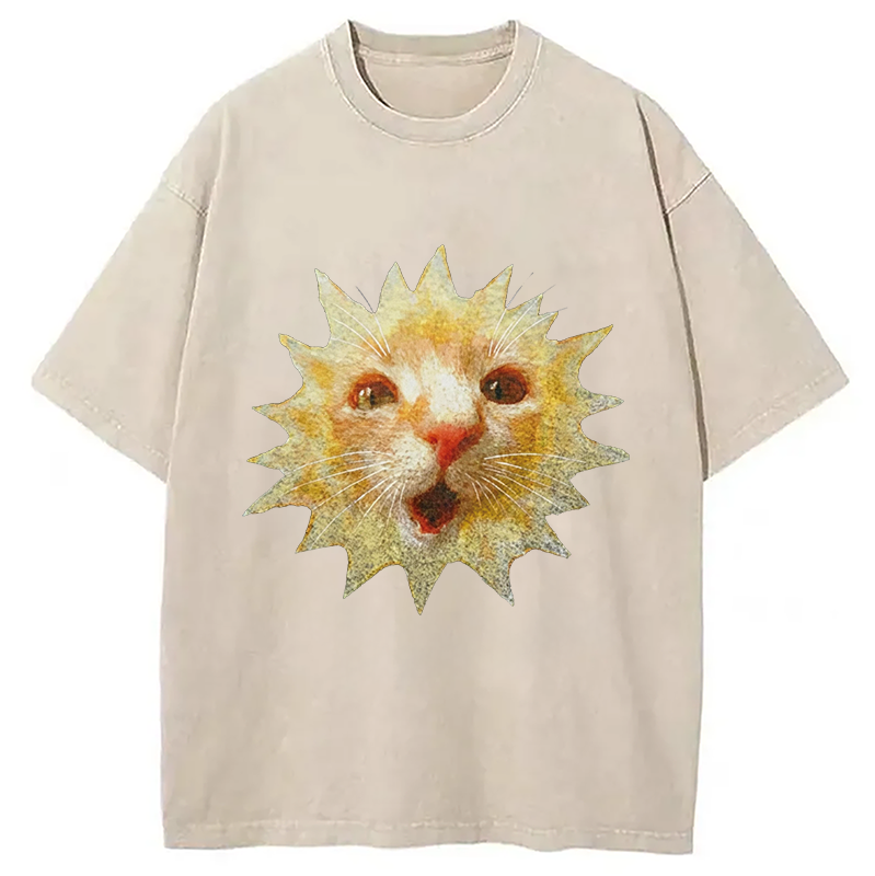 Modecanvas Sun Cat Meme DTG Printing Washed T-Shirt