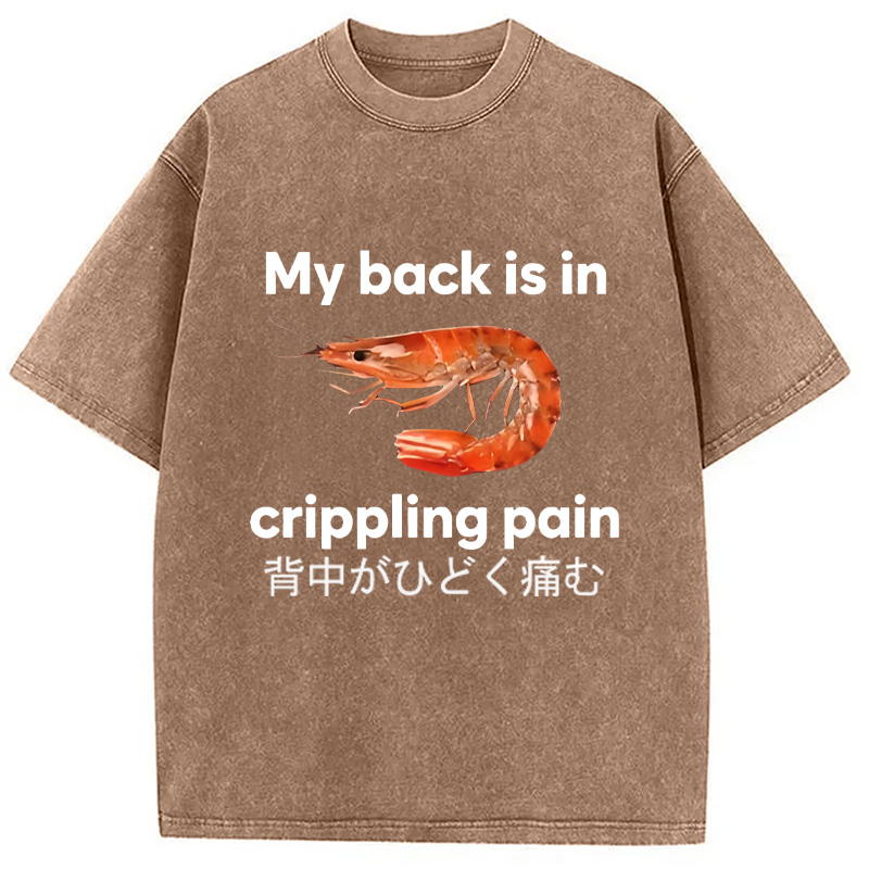 Modecanvas My Back Is in Crippling Pain Washed T-Shirt-modecanvas