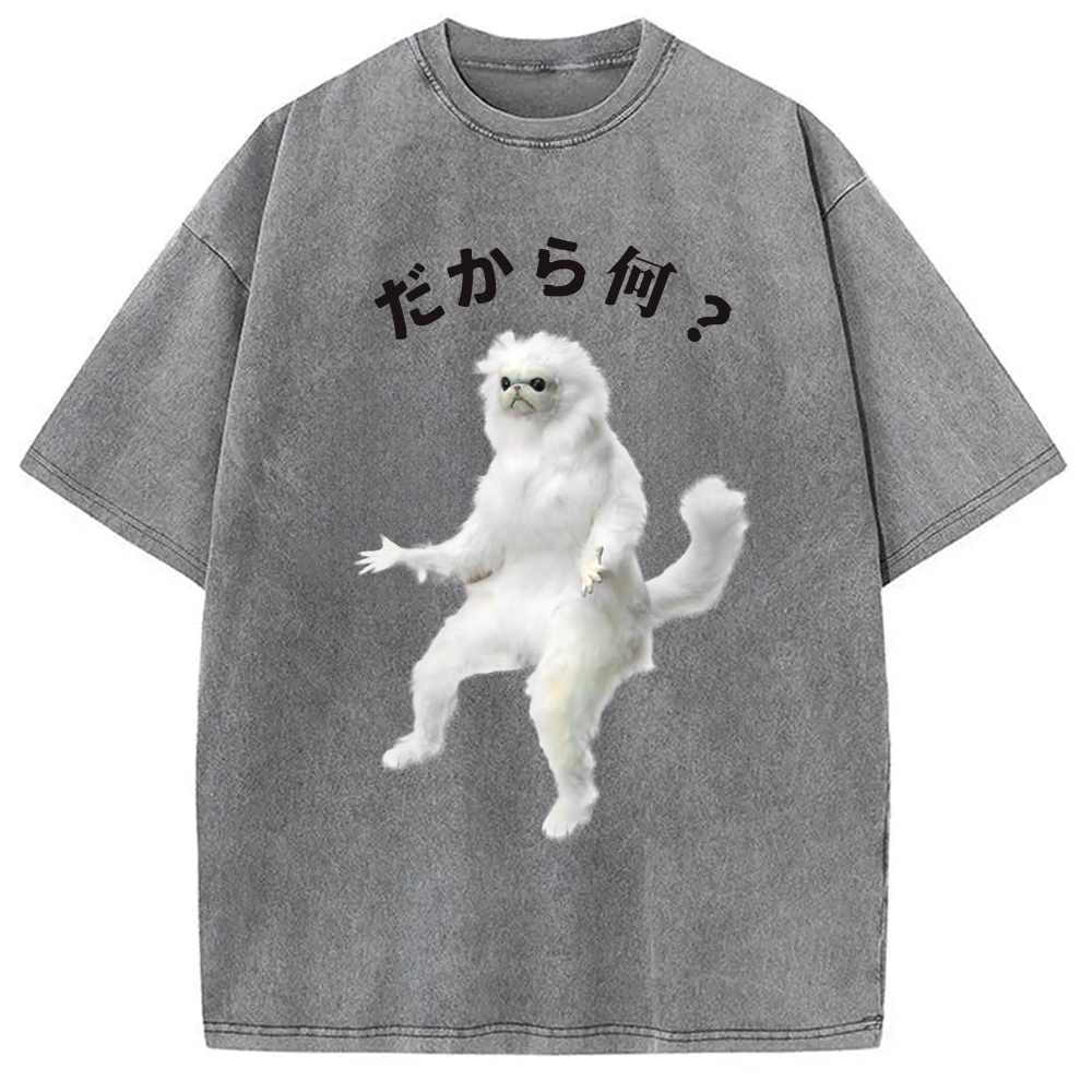 Modecanvas So What White Cat Meme Washed T-Shirt