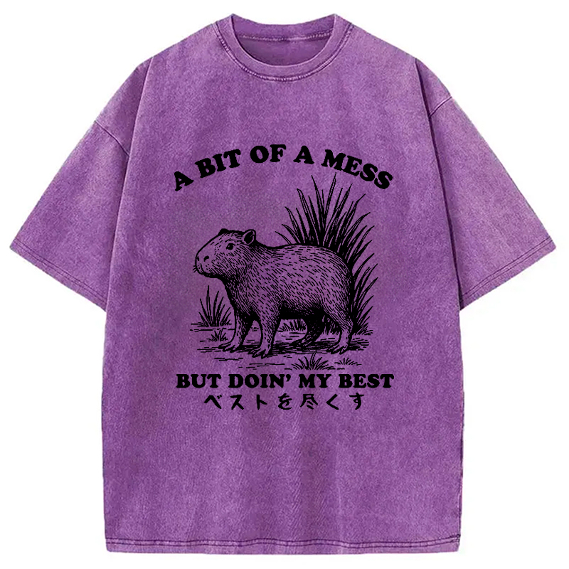 Modecanvas Capybara Doing Its Best Washed T-Shirt