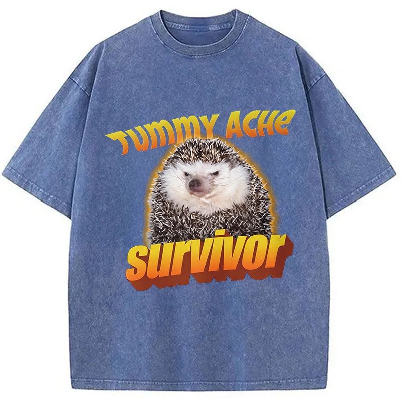 Modecanvas Tummy Ache Survivor Meme Washed T-Shirt-modecanvas