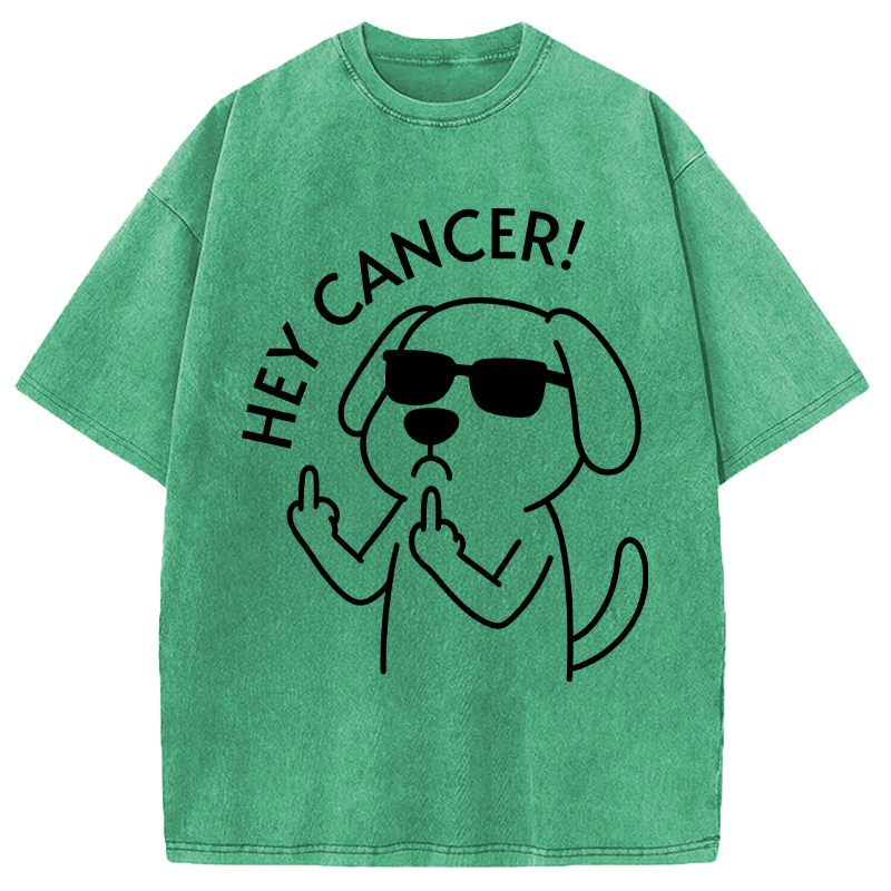 Modecanvas Hey Dog Cancer DTG Printing Washed T-Shirt