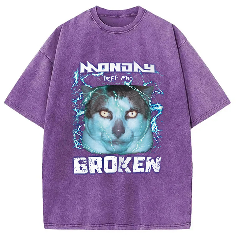 Modecanvas Monday Left Me Broken Cat DTG Printing Washed T-Shirt