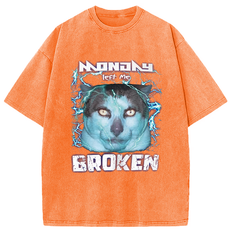 Modecanvas Monday Left Me Broken Cat DTG Printing Washed T-Shirt