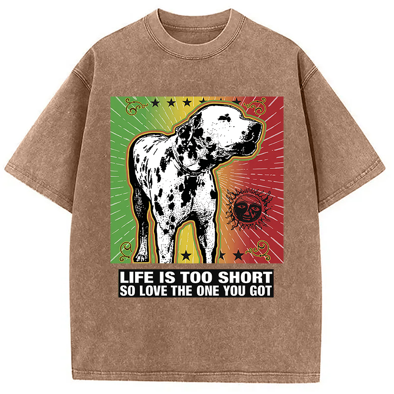 Modecanvas Life Is Too Short So Love The One You Got DTG Printing Washed T-Shirt