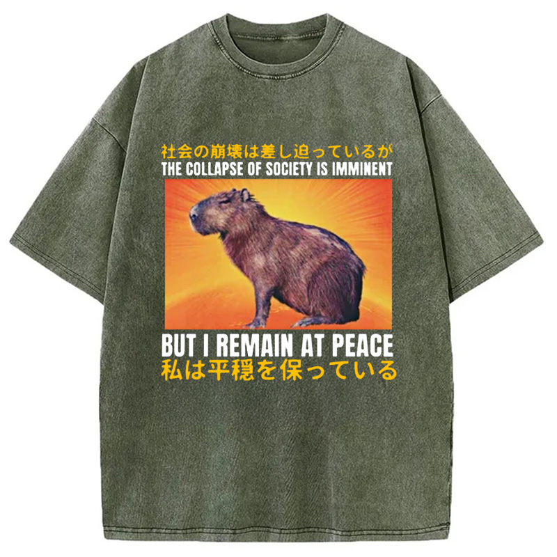 Modecanvas The Collapse of Society is Imminent Washed T-Shirt
