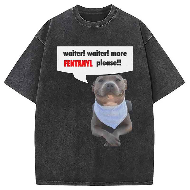 Modecanvas Waiter Waiter More Fentanyl Meme Washed T-Shirt
