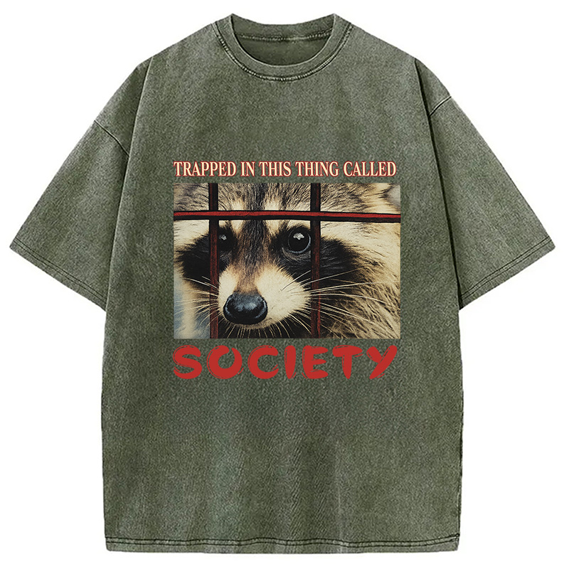 Modecanvas Society Raccoon Washed T-Shirt