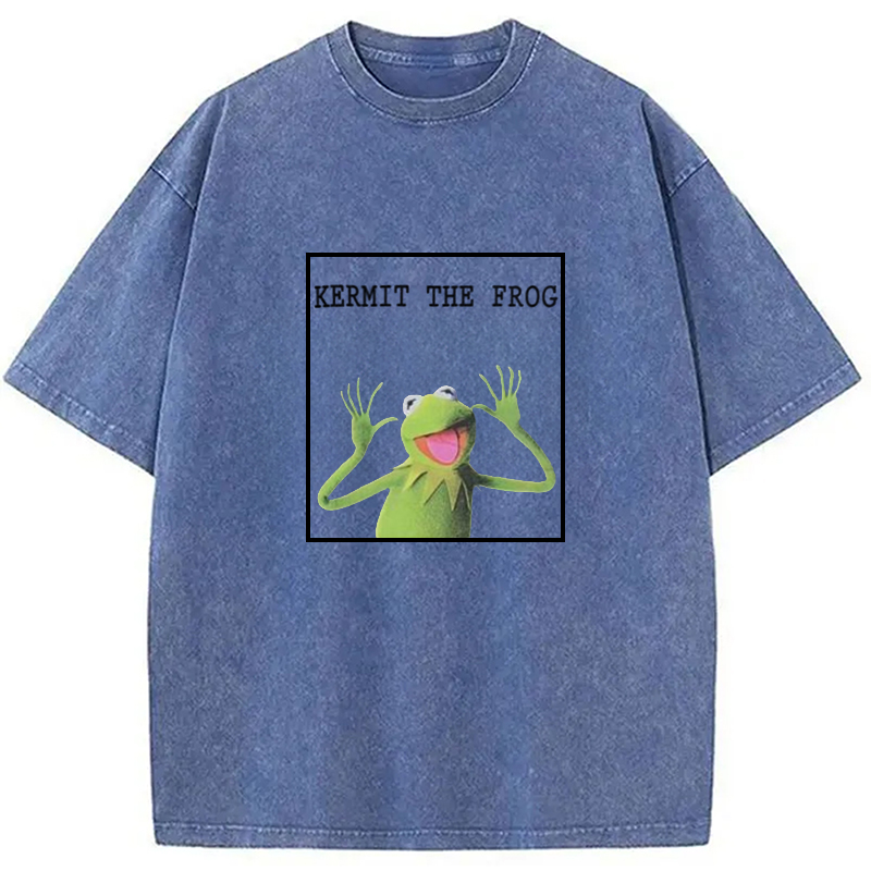 Modecanvas The Frog Meme Washed T-Shirt