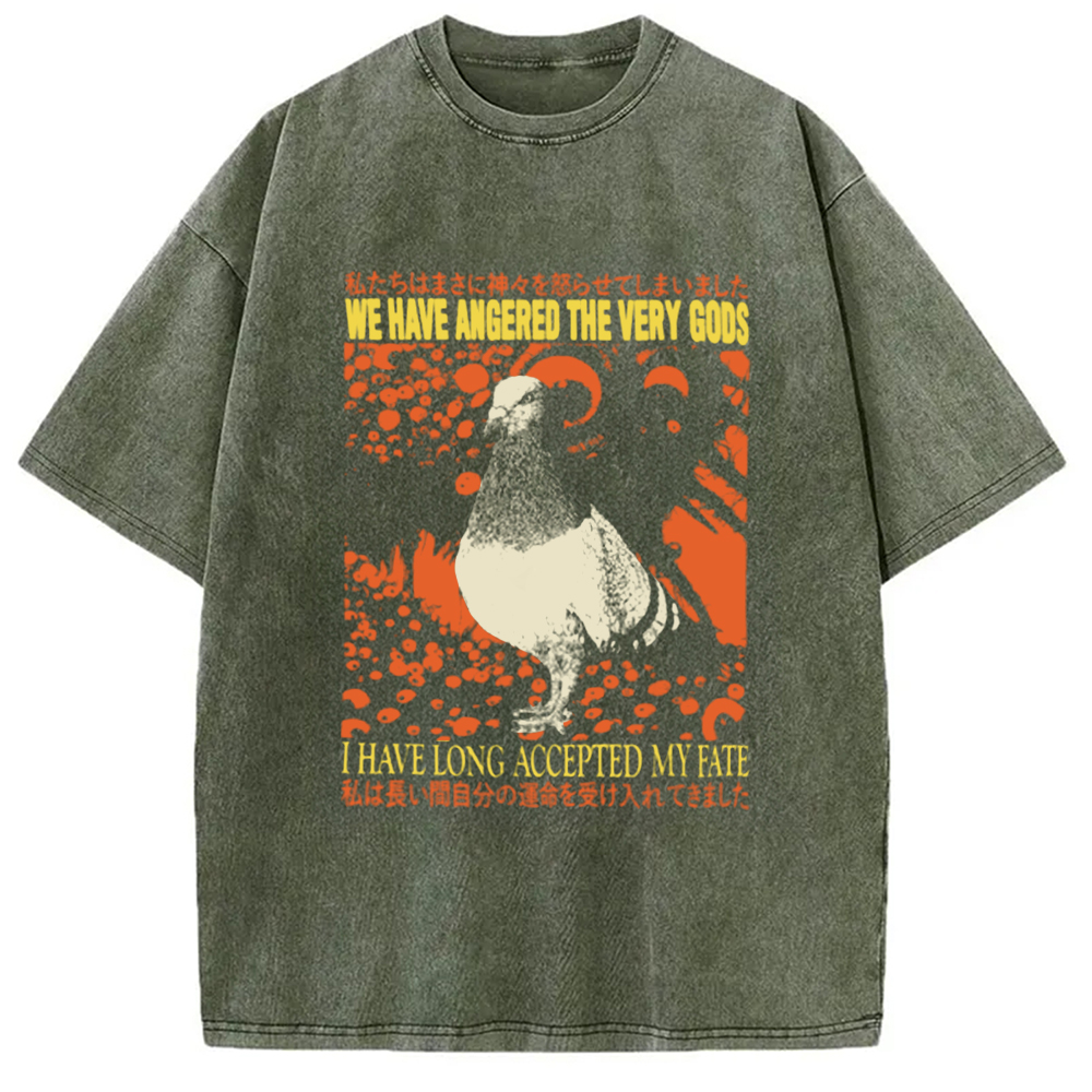 Modecanvas We Have Angered The Very Gods Washed T-Shirt