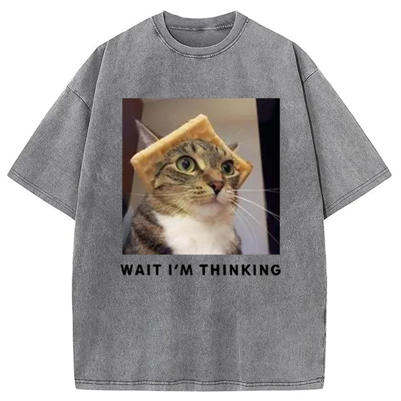 Modecanvas Wait Im Thinking Meme Washed T-Shirt