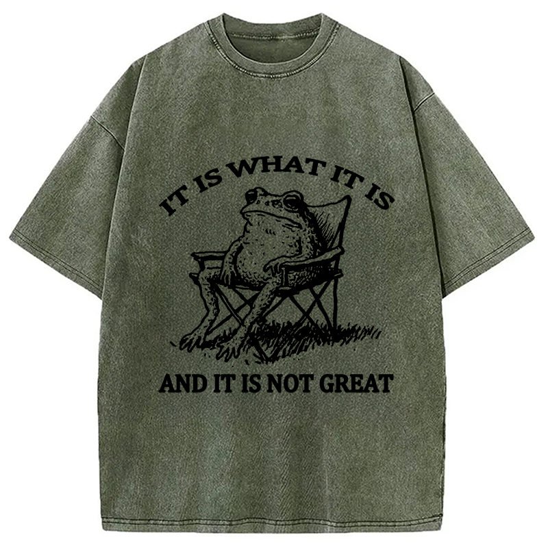 Modecanvas Resting Frog Funny Washed T-Shirt-modecanvas