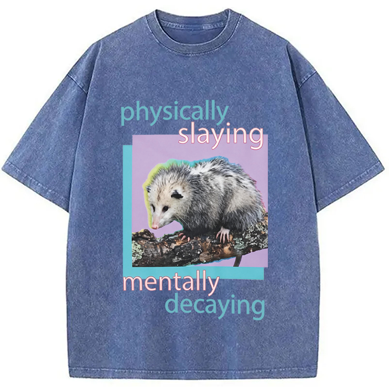 Modecanvas Physically Slaying Mentally Decaying DTG Printing Washed T-Shirt
