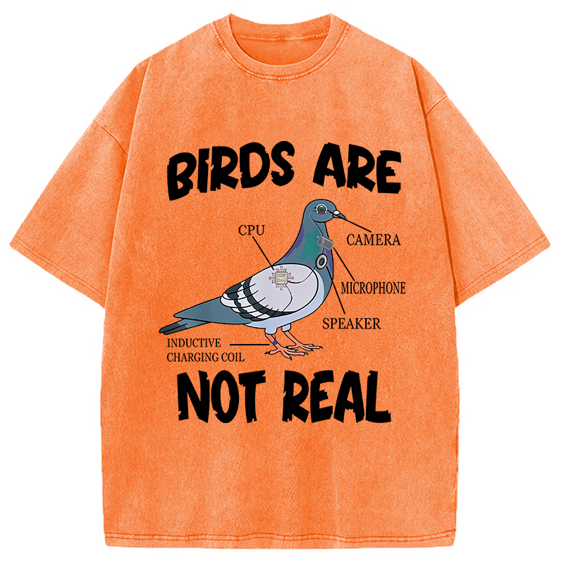 Modecanvas Pigeon Birds Are Not Real Funny DTG Printing Washed T-Shirt