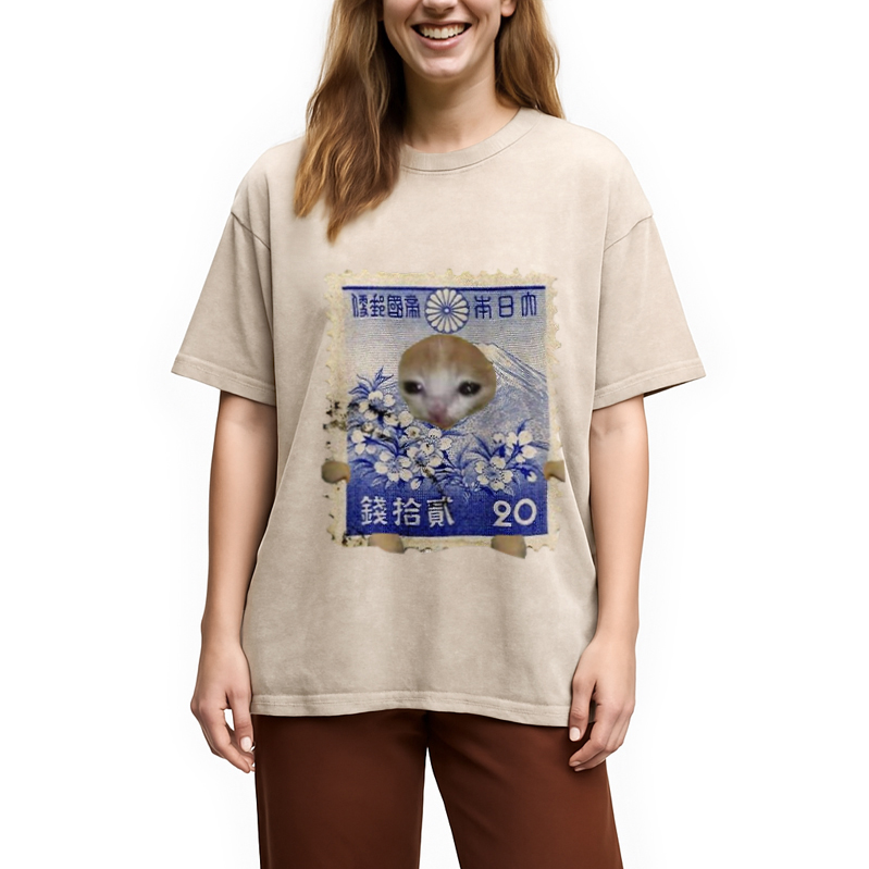 Modecanvas Ukiyo-e Cat Meme Washed T-Shirt